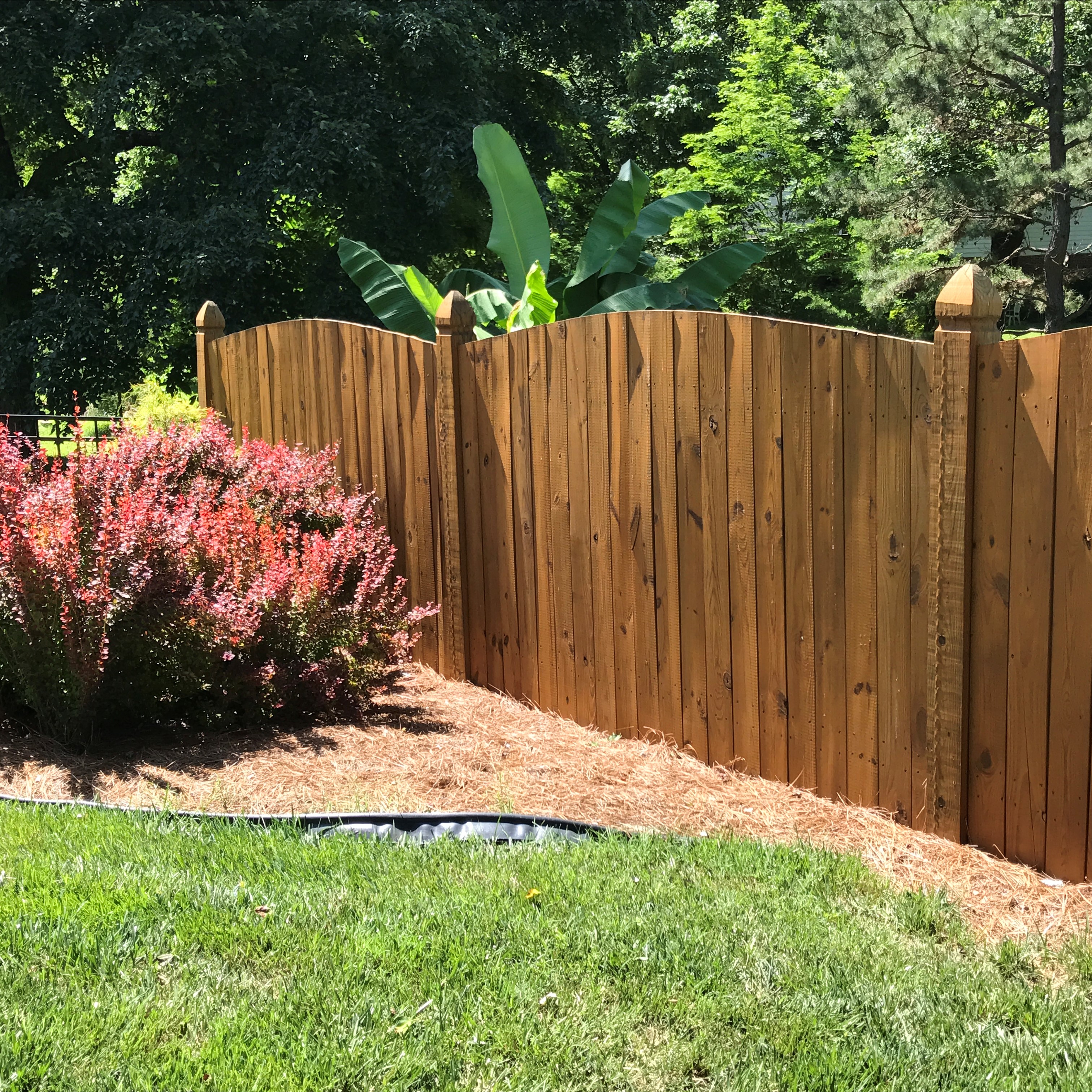 Deck Before Restore Cleaning